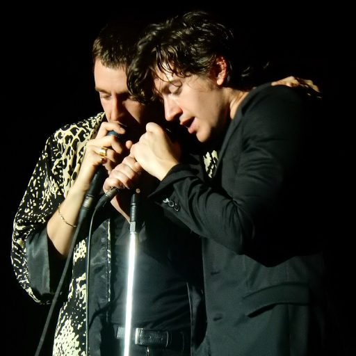 Photo de The Last Shadow Puppets