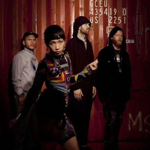 Photo de Little Dragon